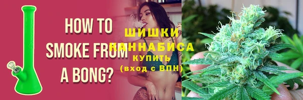 индика Беломорск
