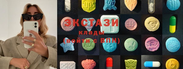 индика Беломорск