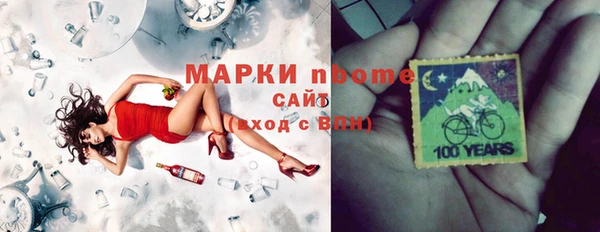 индика Беломорск