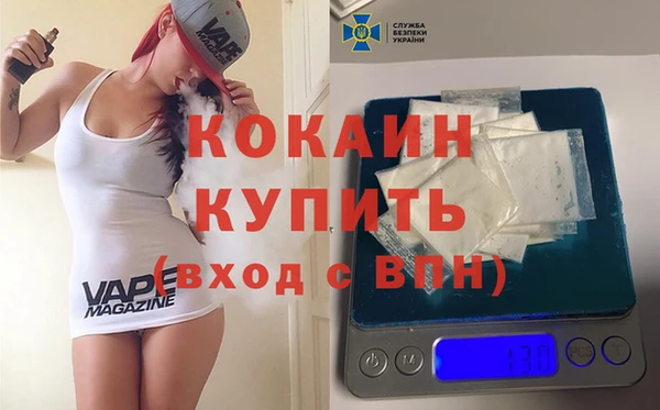 индика Беломорск