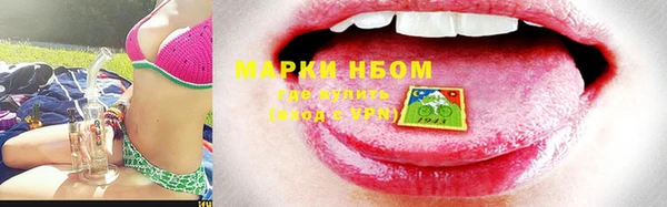 индика Беломорск