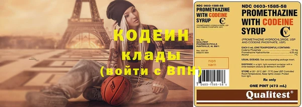 индика Беломорск