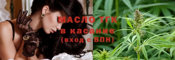 индика Беломорск
