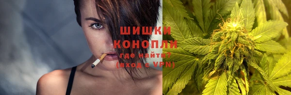 индика Беломорск