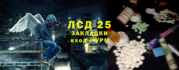 индика Беломорск