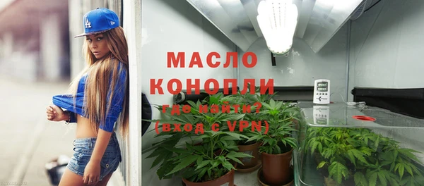индика Беломорск