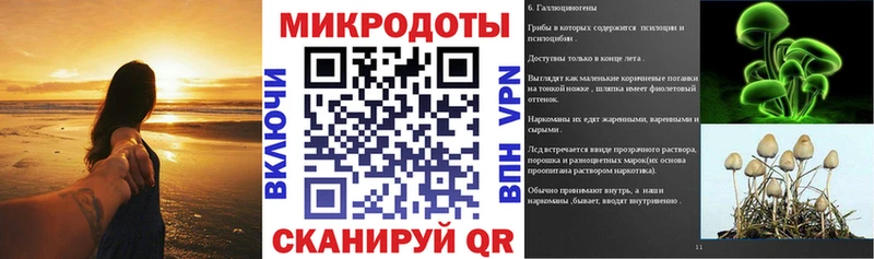 Купить где  Кстово  Галлюциногенные грибы Psilocybine cubensis 